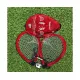 Ворота игровые DFC Foldable Soccer GOAL5219A