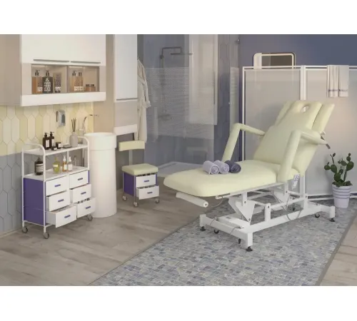 Массажный стол многофункциональный электрический Элегия-2А (МД-850), 2 мотора